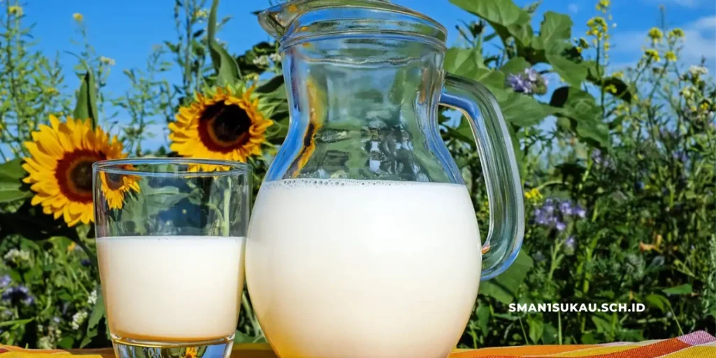 Contoh Koloid dalam Kehidupan Sehari-Hari di Lingkup Sekolah