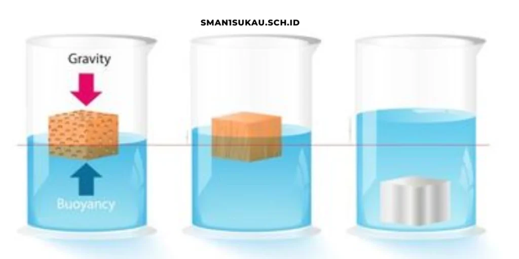 Memahami Hukum Archimedes di Lingkup Sekolah 