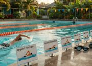 Tutorial Step by Step Renang Gaya Bebas Cepat Dikuasai